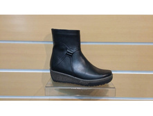 101  ���.��� ����