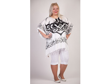 ����� 1343-001 - 550 ���