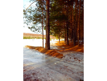 IMG 20170311 092506.jpg