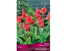 ����� ������������� ������ ��������.jpg