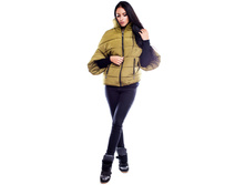 ������ ���� ��������� 1464 ���