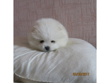 ����� ���� 037.JPG