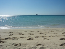 551a40206c297 547c30cde3ed228.jpg