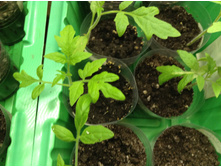 ������� ������� ����� ����� �� ������ ���������