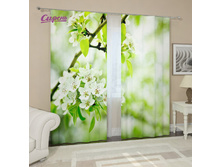 �����: 03894 �������������: ������ ����: 2440 ��������� "�������� ������" 2 440,00 ���. �����: ����������� �������: 290x260 �� ��������: ��������