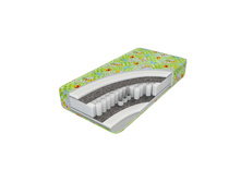 ����-������� ������� ����� �������� ������� - ����������� ��������� ���� (EVS 500)