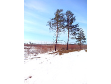 IMG 20170312 100323.jpg