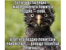 �������� ������