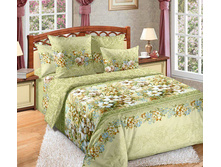 ��� ������� 1,5 ��. ���� "����� 1" 1 313,00 ���.