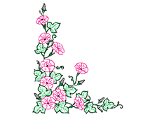 Vunok-269�330-=37�