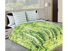 ��� �������� ���� ���� "��ң��" 1 741,00 ���. ������: 100% ������