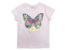 ������� ����������� �������� � �������� ������� ��� ������� - 450 ���