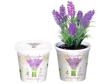 �������  80 ���..jpg