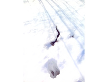 IMG 20170312 100227.jpg