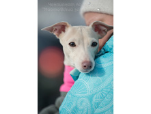 33106279436 09607feef2 o.jpg