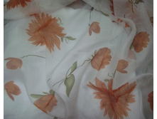 ������� �����-��������.jpg