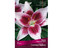 ����� ��������� ��� ����.jpg