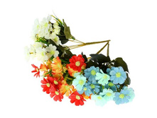 ����� "������" ��������� "������" ���� �����; 28 ��; �������, ��������; � ����� 600 ��. ���.: 1662281 76.00 ���.