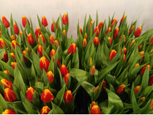 IMG 20170301 070251[1].jpg