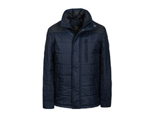 ������ ������� Merlion Forest (�.�����) 1920�.jpeg