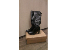 ���. ����