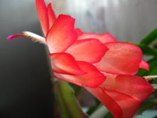 IMG 5212.JPG