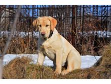 ������� 5 ���.