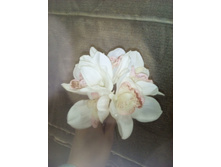 2017-03-28 10-52-45.JPG