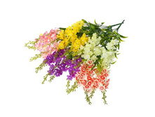 ����� "������ ��������" ��������� "������ ��������" ���� �����; 35 ��; �������, ��������; � ����� 600 ��. ���.: 1653791 77.50���.