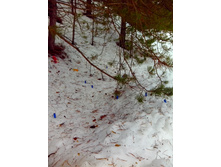 IMG 20170304 110937.jpg