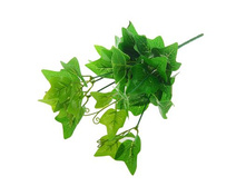 ����� "������������"����� "������������" �����; 35 ��; �������, ��������; � ����� 600 ��. ���.: 1208868 67.20���.