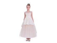 ������ DSC*7169