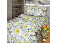 ��� 1,5 ��. ���� ��� "�������� ���" 1 092,00 ���. ������: ������ 100%