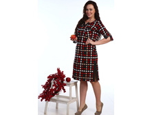 ������ 1154.JPG