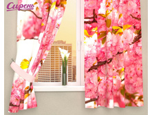 ��������� "�������� ��������" 1 970,00 ���. �����: ����������� �������: 290*160 �� ��������: �������� �����: 03523 �������������: ������