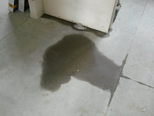 ����� �����.jpg