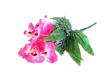 ����� "�������" ��������� "�������" ���� �����; 30 ��; �������; � ����� 600 ��. ���.: 716578 71.78���.