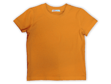 ������� ����������� �������� � �������� ������� ��� ��������� - 120 ���