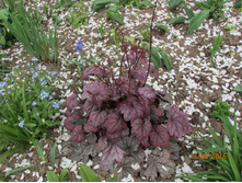 ������� ������.JPG