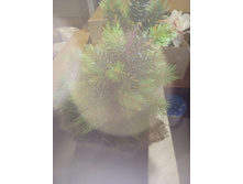 2017-03-28 10-54-41.JPG