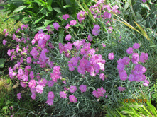 �������� ��������.JPG