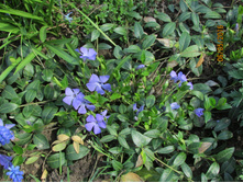 �������� �����.JPG