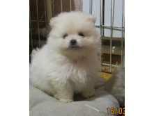 ����� � 002.JPG