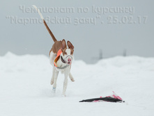 32794438730 12470cc9c6 o.jpg