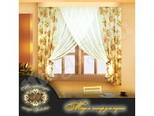 ������ ���� 683 ���