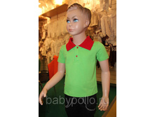 ������� ���� ��������� � ������� ����������.jpg