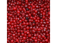 ������������ ������.