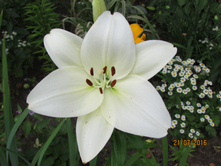 �� ������ ������.JPG