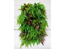 ���������� 06