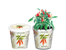 �����  80 ���..jpg